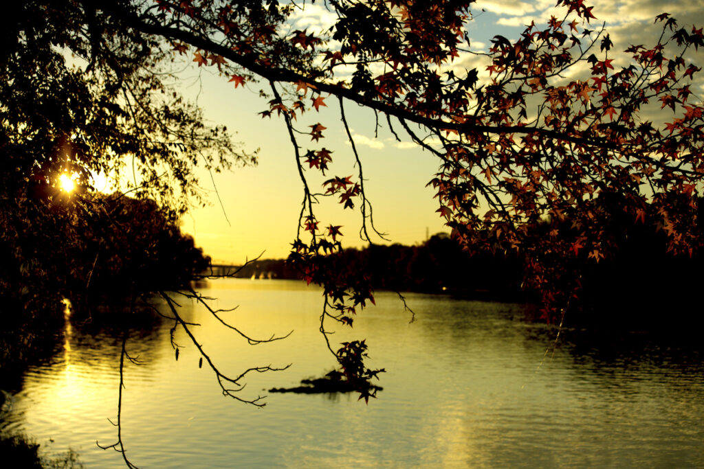 Tuscaloosa VA Home Loans